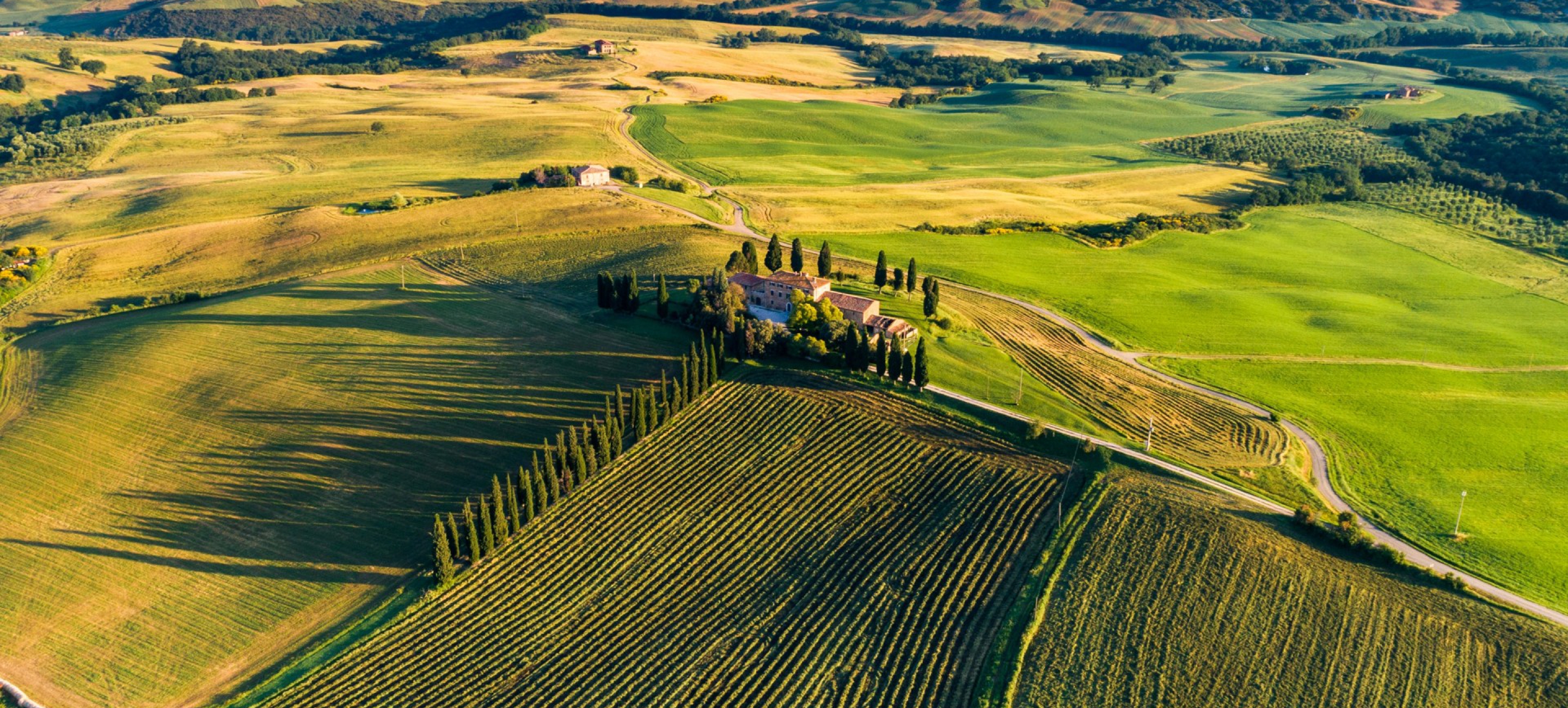 Incentivereis Florence Toscane