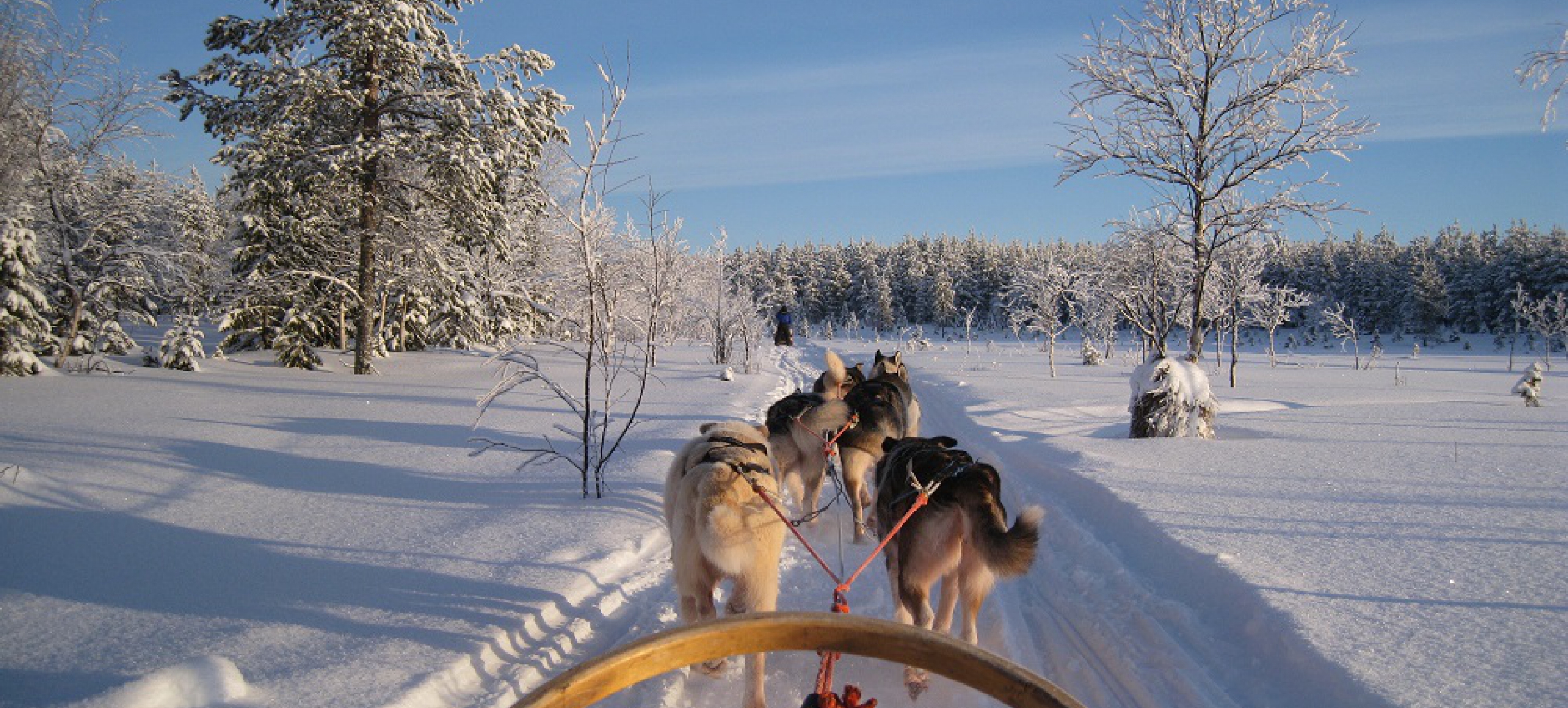 Incentivereis Lapland Finland