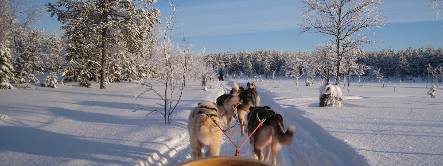 Incentivereis Lapland Finland