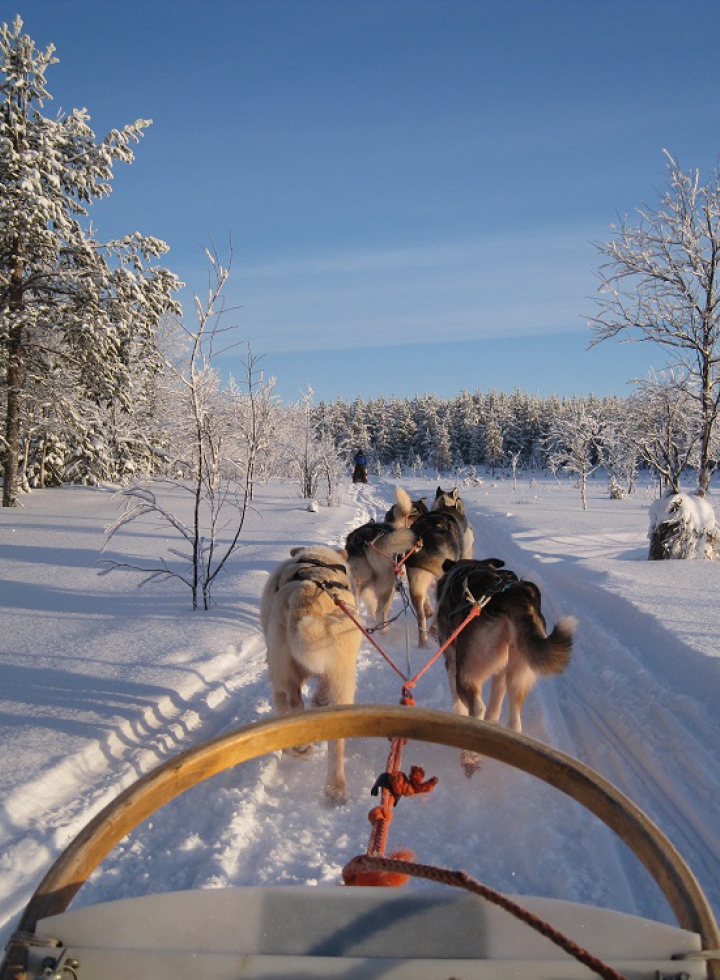 Incentivereis Lapland Finland