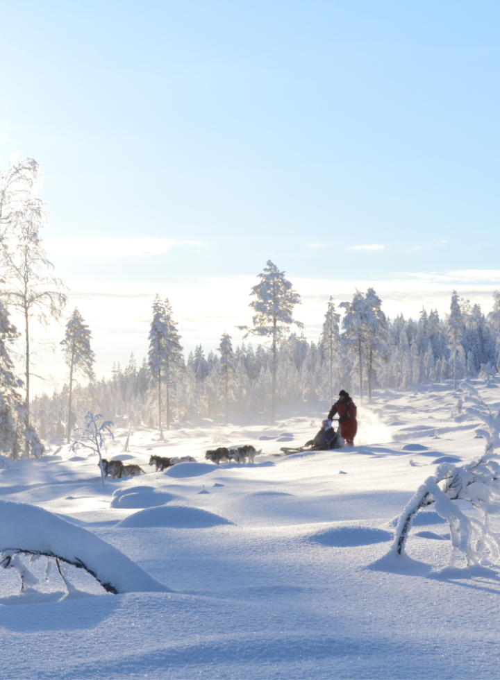 Lapland