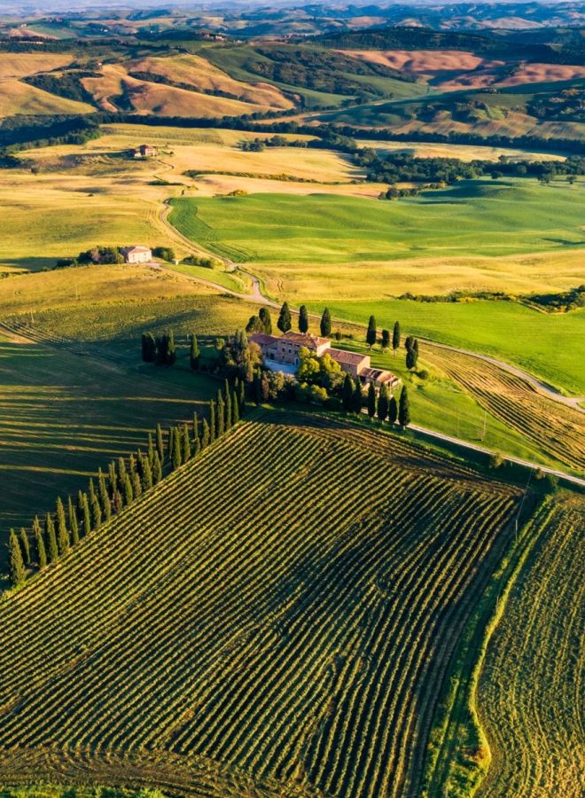 Incentivereis Florence Toscane