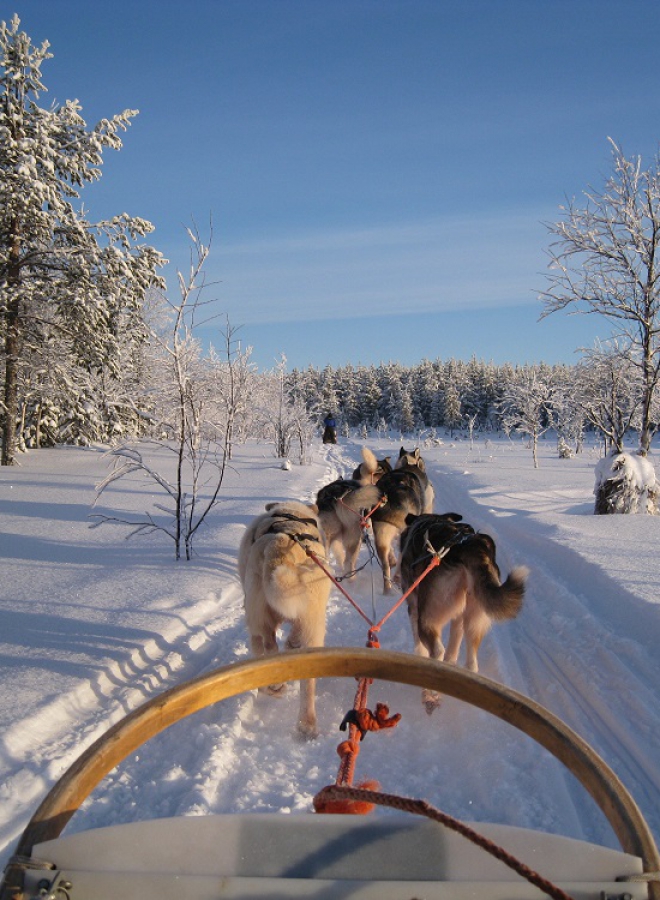 Incentivereis Lapland Finland